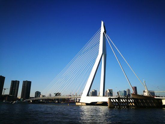 Erasmus Bridge